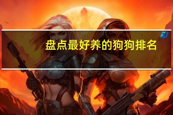 盘点最好养的狗狗排名