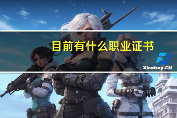 目前有什么职业证书