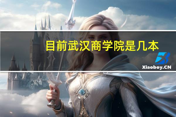 目前武汉商学院是几本