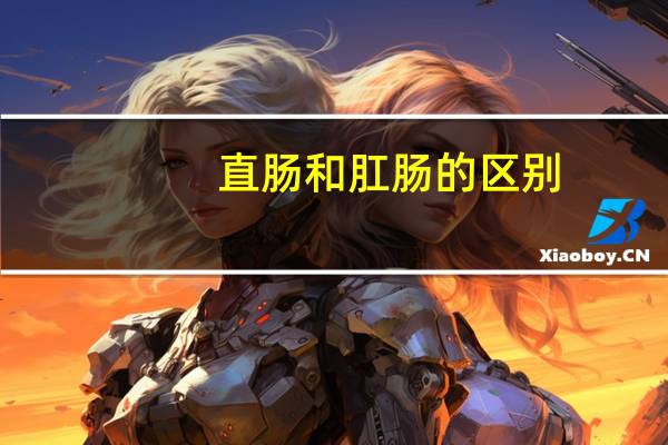 直肠和肛肠的区别