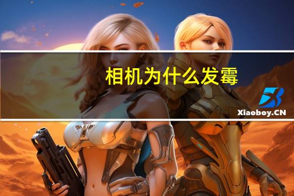 相机为什么发霉