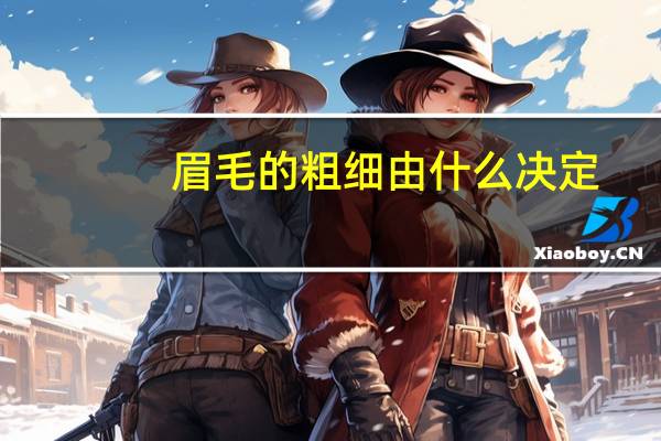 眉毛的粗细由什么决定