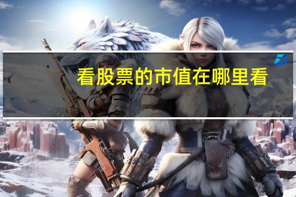 看股票的市值在哪里看