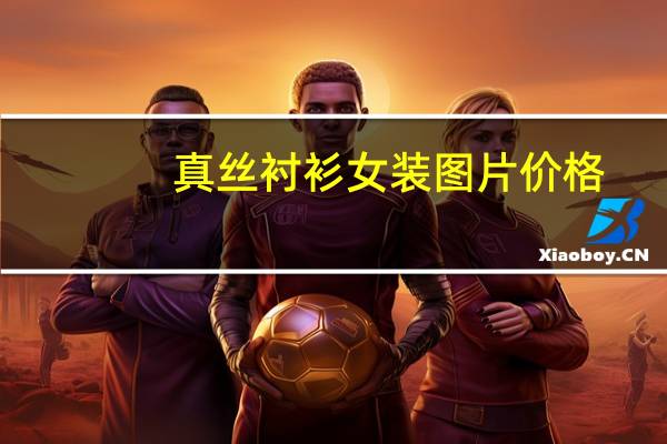 真丝衬衫女装图片价格
