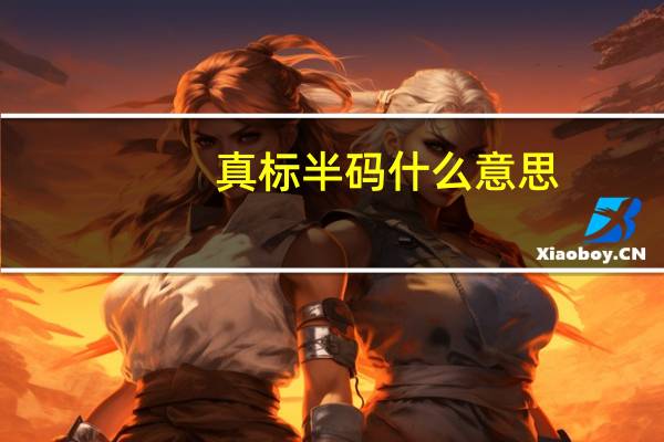 真标半码什么意思