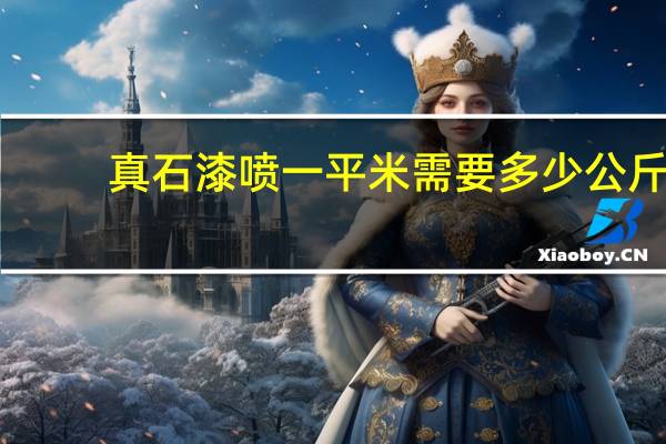 真石漆喷一平米需要多少公斤