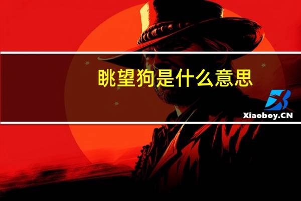 眺望狗是什么意思