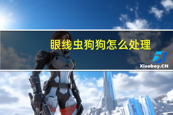 眼线虫狗狗怎么处理