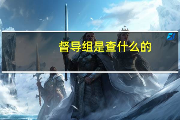督导组是查什么的