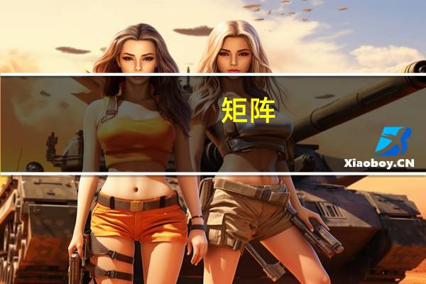 矩阵，什么意思