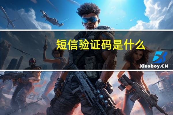 短信验证码是什么