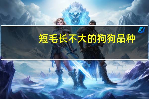 短毛长不大的狗狗品种