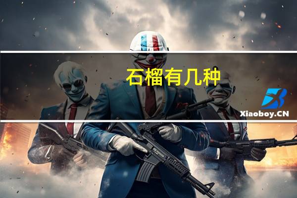 石榴有几种