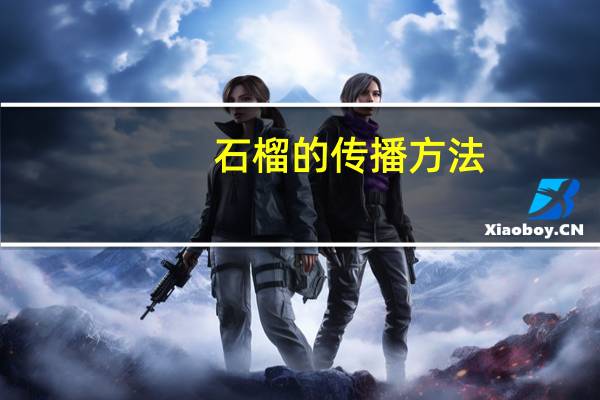 石榴的传播方法