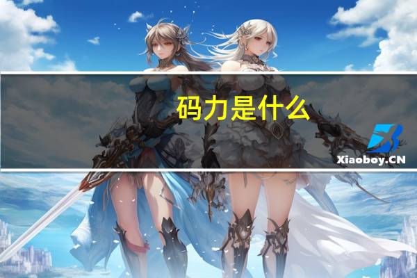 码力是什么