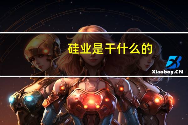 硅业是干什么的