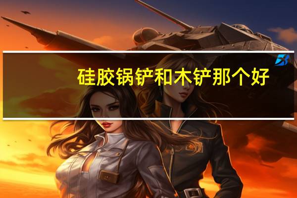 硅胶锅铲和木铲那个好