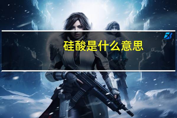 硅酸是什么意思