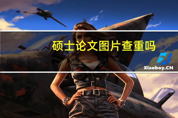 硕士论文图片查重吗