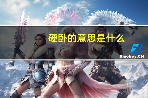 硬卧的意思是什么