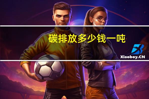 碳排放多少钱一吨