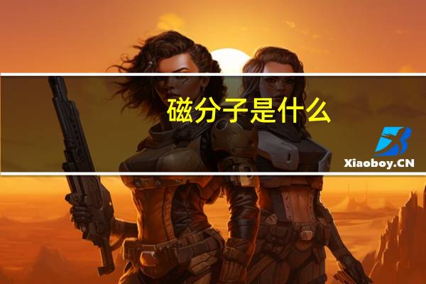 磁分子是什么