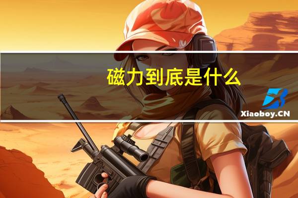 磁力到底是什么