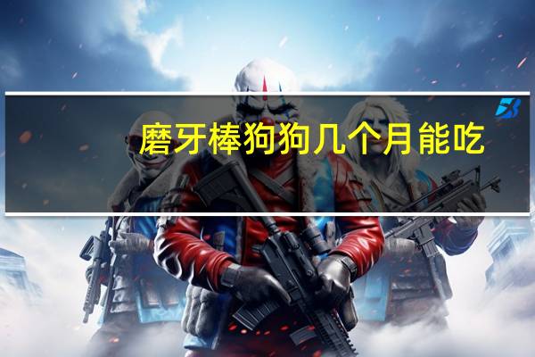磨牙棒狗狗几个月能吃