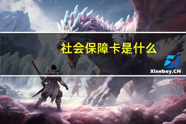 社会保障卡是什么