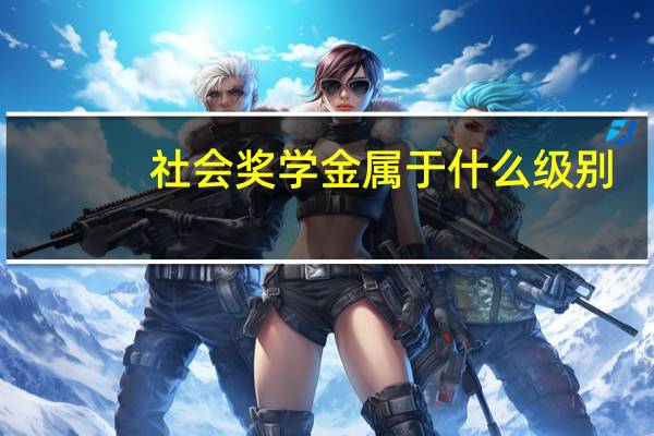 社会奖学金属于什么级别