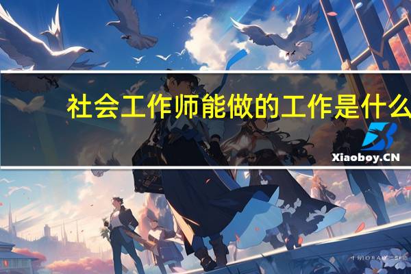 社会工作师能做的工作是什么