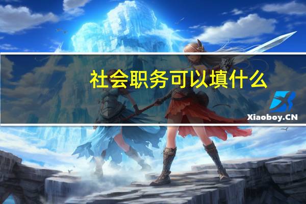 社会职务可以填什么