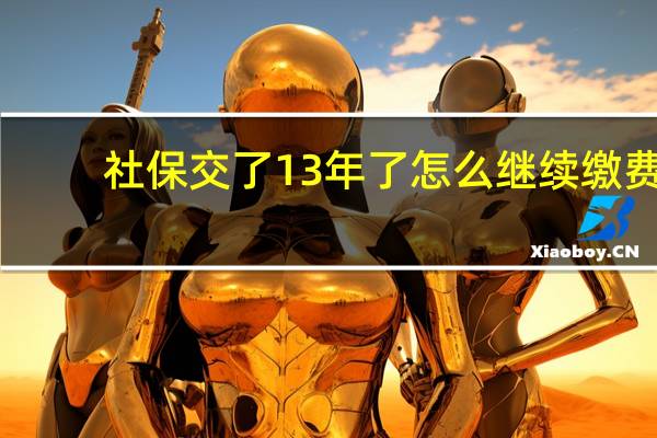 社保交了13年了怎么继续缴费