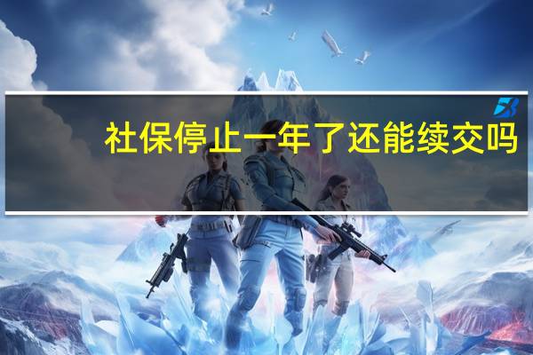 社保停止一年了还能续交吗
