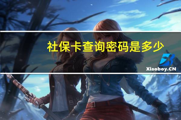社保卡查询密码是多少