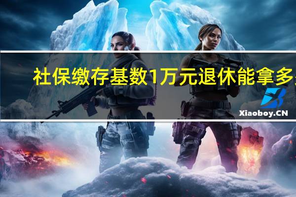 社保缴存基数1万元退休能拿多少