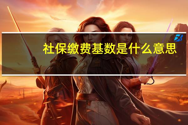 社保缴费基数是什么意思