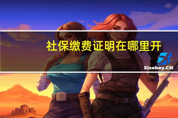 社保缴费证明在哪里开