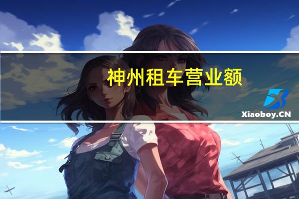 神州租车营业额