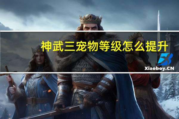 神武三宠物等级怎么提升