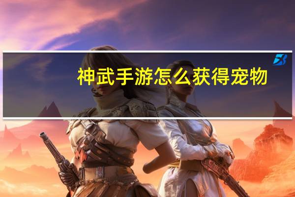 神武手游怎么获得宠物