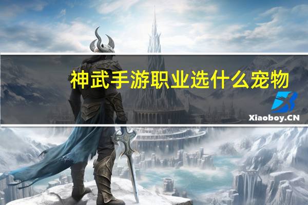 神武手游职业选什么宠物
