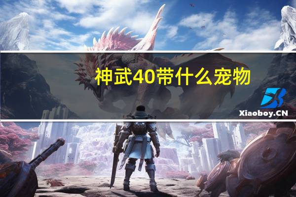 神武40带什么宠物