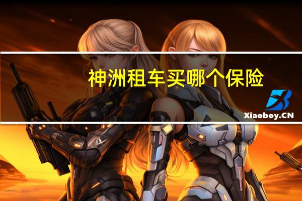 神洲租车买哪个保险