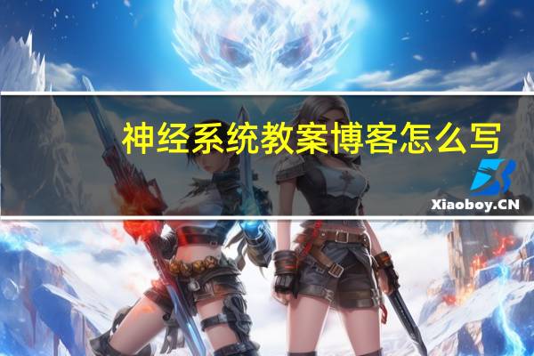 神经系统教案博客怎么写