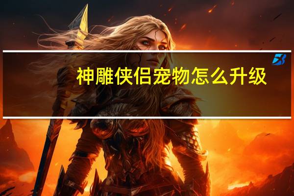 神雕侠侣宠物怎么升级