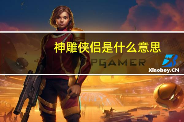 神雕侠侣是什么意思