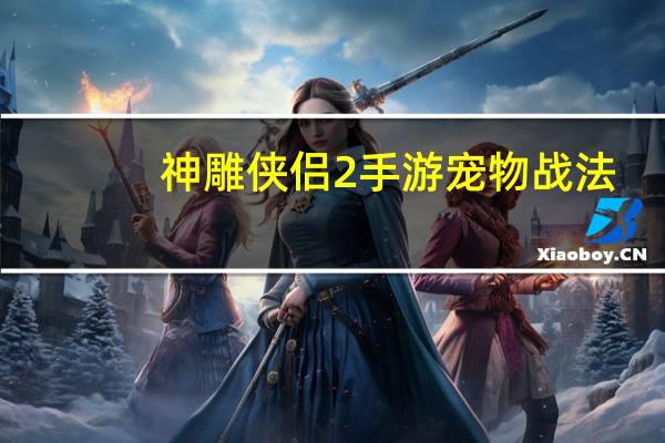 神雕侠侣2手游宠物战法