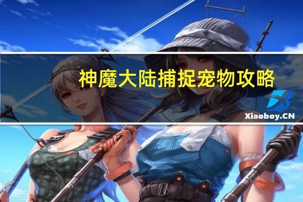 神魔大陆捕捉宠物攻略