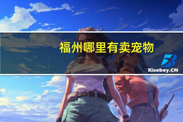 福州哪里有卖宠物